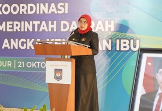 Direktur Sinkronisasi Urusan Pemerintahan Daerah IV Paudah