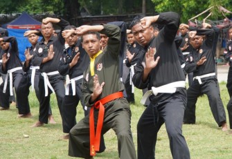 Mengenal Pencak Silat Militer