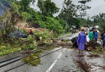 Pohon dan Tiang Listrik Tumbang Kebadan Jalan, Polri Sigap Lakukan Pengaturan Lalulintas