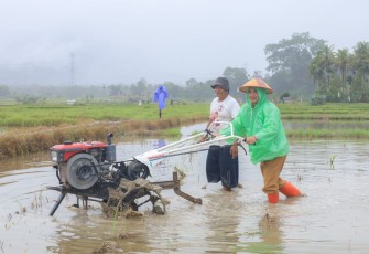 Foto : Istimewa 