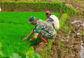Serda Suharyanto Laksanakan Komsos Dengan Petani