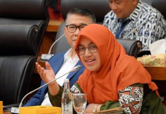 Anggota Komisi XII DPR RI Meitri Citra Wardani
