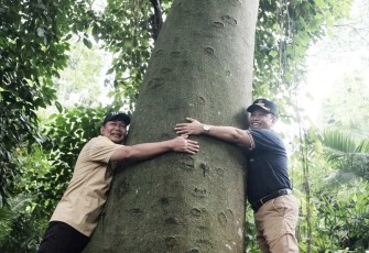 Wali Kota Depok, Supian Suri (kanan) bersama Kepala DLHK Depok, Abdul Rahman (kiri) saat memeluk salah satu pohon terbesar yang ada di Cagar Alam Pancoran Mas.