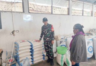 Sertu Darjono, Babinsa Tunggulwulung pantau penggilingan UD Tunggulmas 