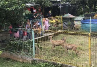 Anak-anak sekolah Griya Tahfidz Balita berinteraksi dengan rusa di rumah pintar Cakra Cendekia 2 Kostrad, Jum'at (23/5)