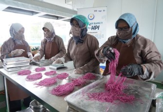 Kementerian Kelautan dan Perikanan (KKP) mendorong inovasi produk pangan menggunakan bahan Hidrolisat Protein Ikan (HPI)
