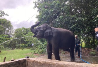 Kawasan Taman Nasional Way Kambas (TNWK) di Lampung Timur