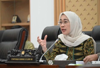 Ketua Komisi VI DPR RI Anggia Erma Rini