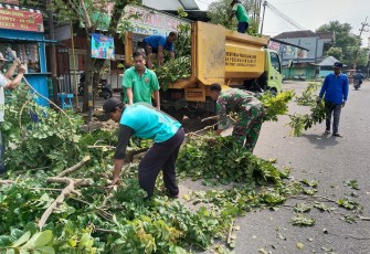 Babinsa Koramil 01/Ngawi Bersama Petugas Tebangi Pohon di Pinggiran Jalan Raya