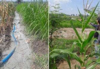 Limbah dari pengeboran sumur minyak illegal NG-8 yang dibuang di lahan pertanian berpotensi menimbulkan pencemaran lingkungan.