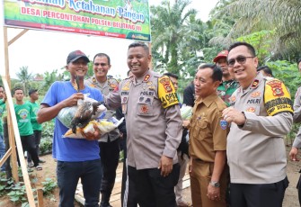 Panen Tanaman Ketahanan Pangan