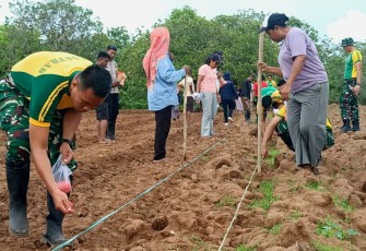 Satgas Pamtas Pos Salore saat Turun ke Lahan Pertanian
