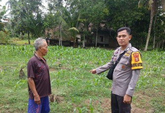 Bhabinkamtibmas Polsek Belitang III Cek Lokasi Hanpangan di Desa Karya Maju, Sabtu siang (06/09/2025) sekira pukul,11.00 WIB.