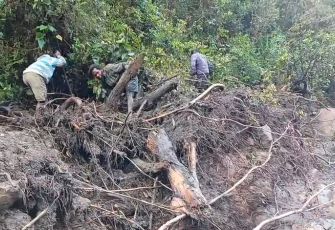 Penanganan Darurat Pascabanjir Bandang Nduga