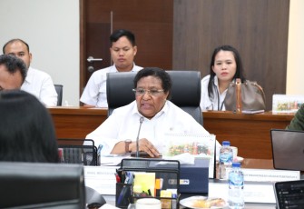 Wakil Menteri Dalam Negeri (Wamendagri) Ribka Haluk 