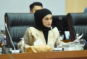 Wakil Ketua Komisi XII DPR RI Putri Zulkifli Hasan