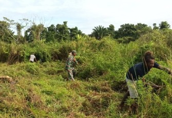 Babinsa Kuala Kencana Bantu Masyarakat Buka Lahan Pertanian