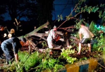 Aksi Cepat Anggota Posramil Manguharjo Bersihkan Pohon Tumbang di Jalan Nasional Ring Road Barat