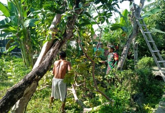 Babinsa Sumbergandu Ajak Warga Gelar Kerja Bakti Bersihkan Lingkungan