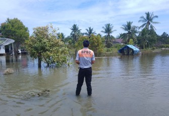 Perkembangan Situasi dan Penanganan Bencana