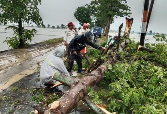 Pembersihan pohon tumbang