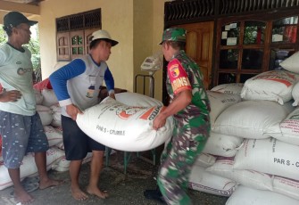 Komitmen TNI AD dalam mendukung ketahanan pangan nasional kembali diwujudkan Kodim 0806/Trenggalek melalui peran aktif para Bintara Pembina Desa (Babinsa) di lapangan