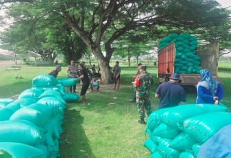 Babinsa Kelurahan Nglames Dampingi Proses Serapan Gabah oleh Bulog