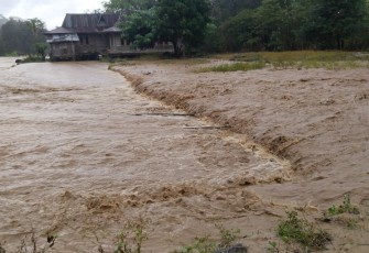 Upaya Penanganan Darurat Pascabanjir Bandang Nagekeo 