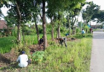 Babinsa Koramil 0803/10 Pilangkenceng saat Bersama Warga Gelar Kerja Bakti Pembersihan Jalan