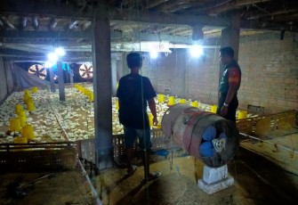 Babinsa Karangjati Sambangi Usaha Peternakan Ayam