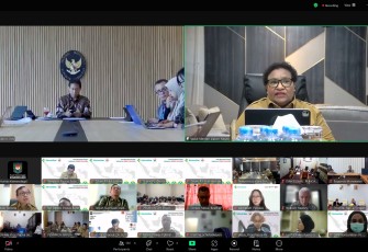 Wakil Menteri Dalam Negeri (Wamendagri) Ribka Haluk 