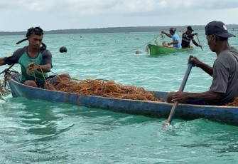 Ilustrasi pengelolaan rumput laut