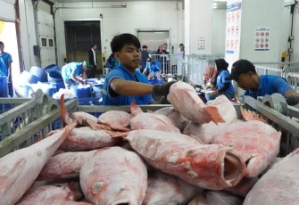 Kementerian Kelautan dan Perikanan (KKP) mensosialisasikan Warehouse Management System (WMS) sebagai sistem informasi Cold Storage untuk mengetahui ketersediaan dan sebaran ikan di Indonesia