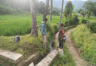 Babinsa Koramil 0801/03 Arjosari Cek Irigasi Persawahan