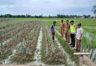 Polsek Belitang III Laksanakan Pendampingan Dukung Ketahanan Pangan Asta Cita Tahun 2025