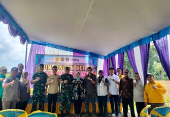 Panen Bersama di Kecamatan Belitang Mulya