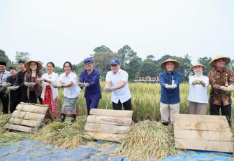 Wakil Menteri Dalam Negeri (Wamendagri) Bima Arya Sugiarto menekankan pentingnya kemandirian dan ketahanan pangan nasional saat menghadiri acara Panen Raya di Agro Edu Wisata Organik (AEWO) Mulyaharja, Kota Bogor, Jawa Barat, Kamis (17/4/2025)