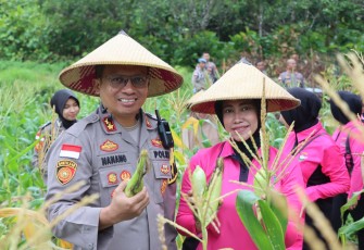 Kapolres Natuna, AKBP Nanang Budi Santosa, S.I.K., bersama Ketua Bhayangkari Cabang Natuna Ny, Citra Nanang menghadiri secara virtual acara panen raya jagung serentak yang di pusatkan di Madiun, Jawa Timur, Rabu (26/02/2025)