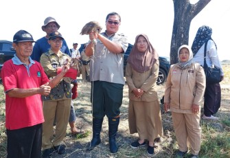  Direktur Perlindungan Tanaman Pangan Kementerian Pertanian (Kementan) Rachmat