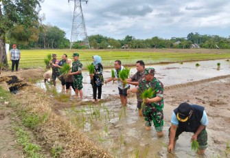 Pengecekan Lokasi Cetak Sawah dan Tanam Padi Bersama