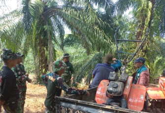 Satgas TMMD Ke-124 Kodim 0408/BS Bantu Bajak Tanah Lahan Petani