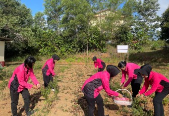 Polsek Tanjungpinang Manfaatkan Lahan Kosong Menjadi Pekarangan Pangan Lestari