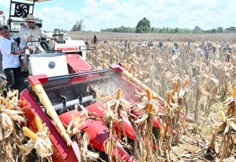Presiden Prabowo saat Panen Raya Jagung