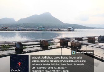 Kementerian Kelautan dan Perikanan (KKP) bergerak cepat terjun langsung ke lapangan mengecek penyebab kematian ikan massal di Waduk Jatiluhur