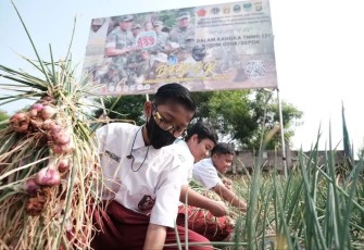 Ilustrasi, Sejumlah siswa melakukan panen daun bawang dalam rangka TMMD 121 Kodim 0508/Depok