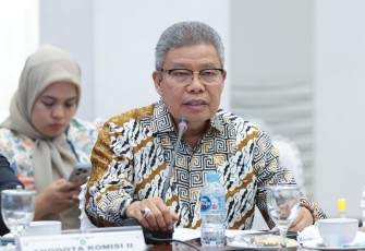 Anggota Komisi II DPR RI, M. Taufan Pawe
