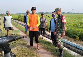 Babinsa bantu petani desa binaan 