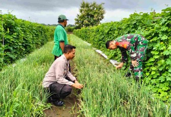Bantu petani wilayah desa binaan 