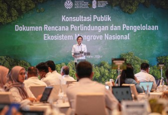 Diskusi Publik Perlindungan Mangrove Indonesia