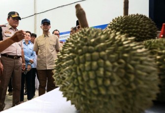 Mentrans Iftitah saat melepas ekspor durian parigi moutong